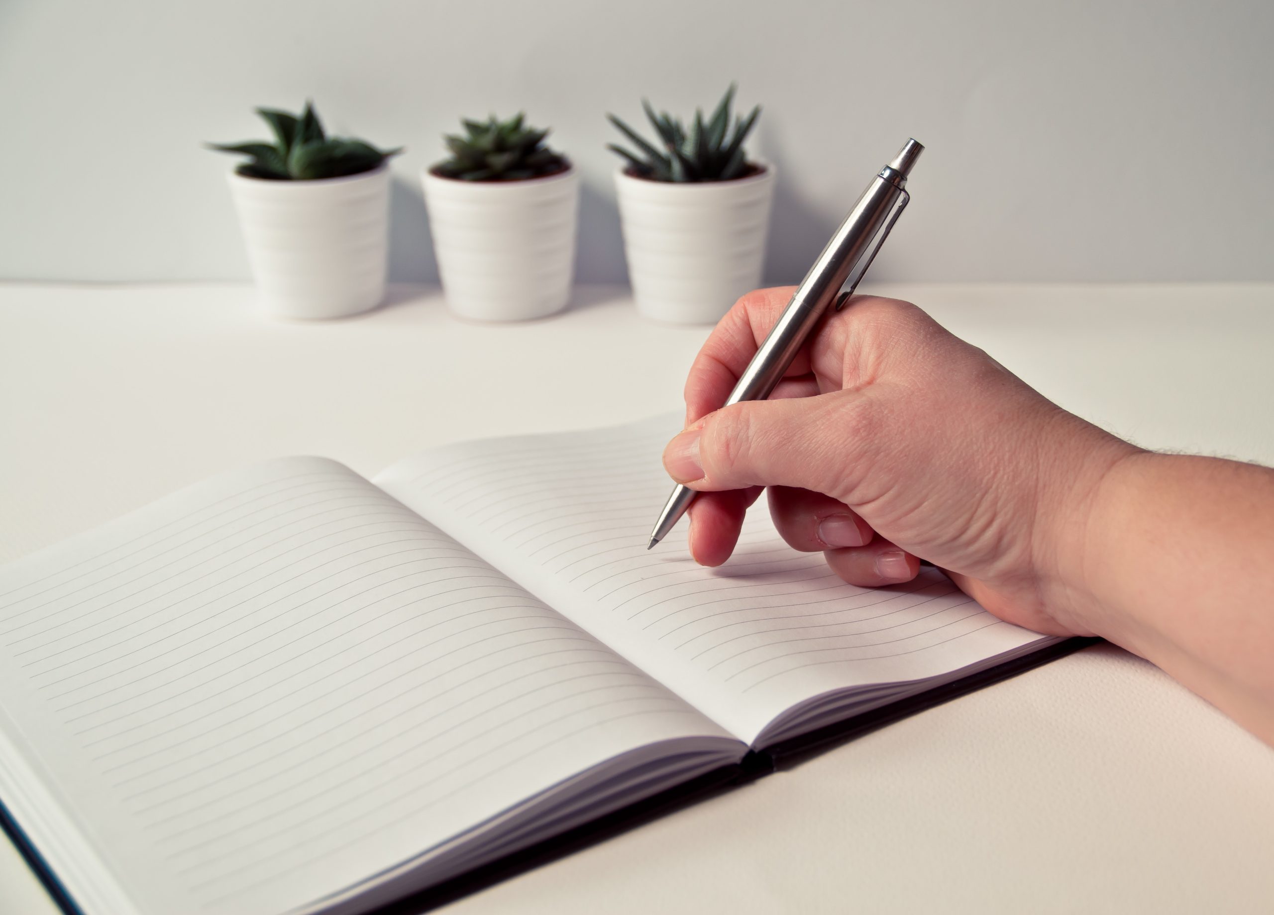 hand holding a pen above a blank notebook on a white table. Three succulents are in the background.
